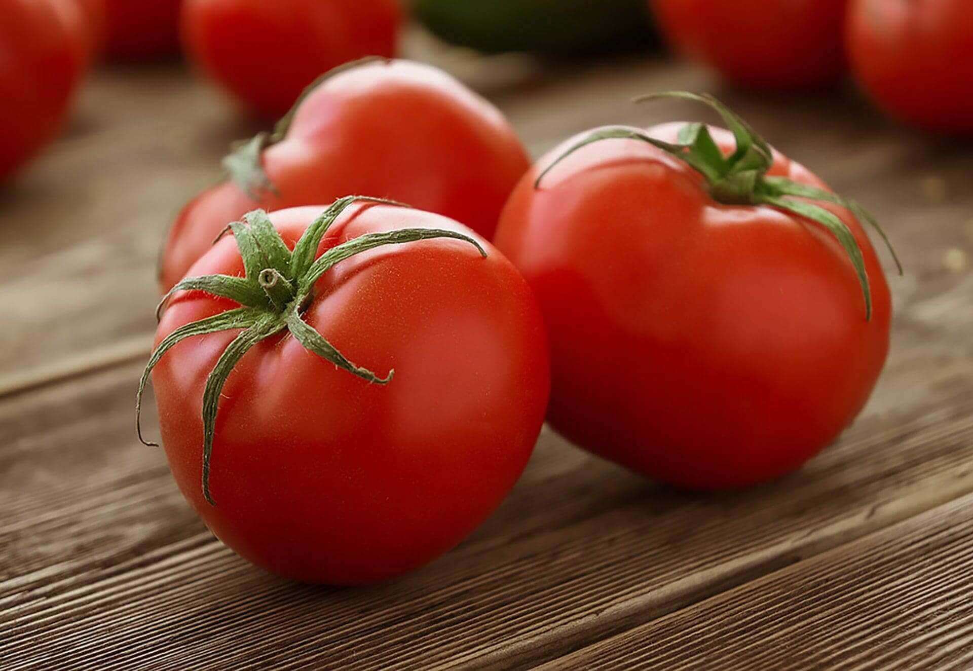 Tomato History