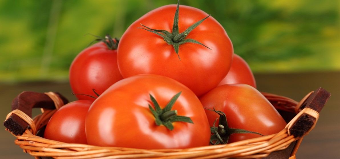 tomato in Spanish