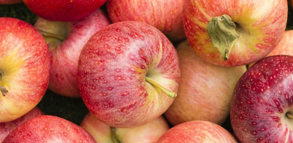 large gala apple nutrition