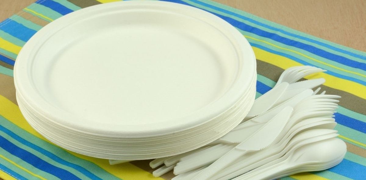 Hard plastic plates and bowls