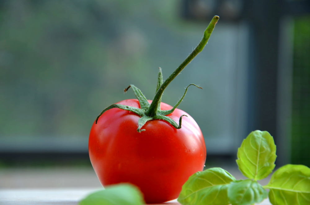 The nutritional value of tomatoes