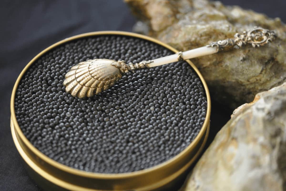 What is caviar made of