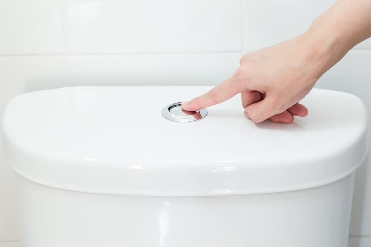 Kitchen Taps Toilet Bowl Questions