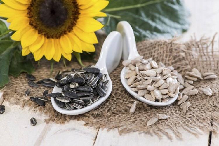 Sunflower seeds benefits for pregnancy