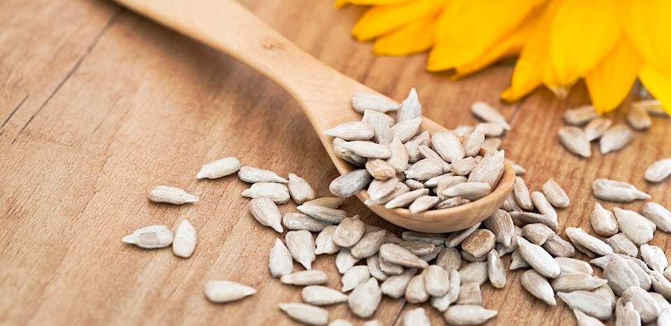 Sunflower seeds benefits for male