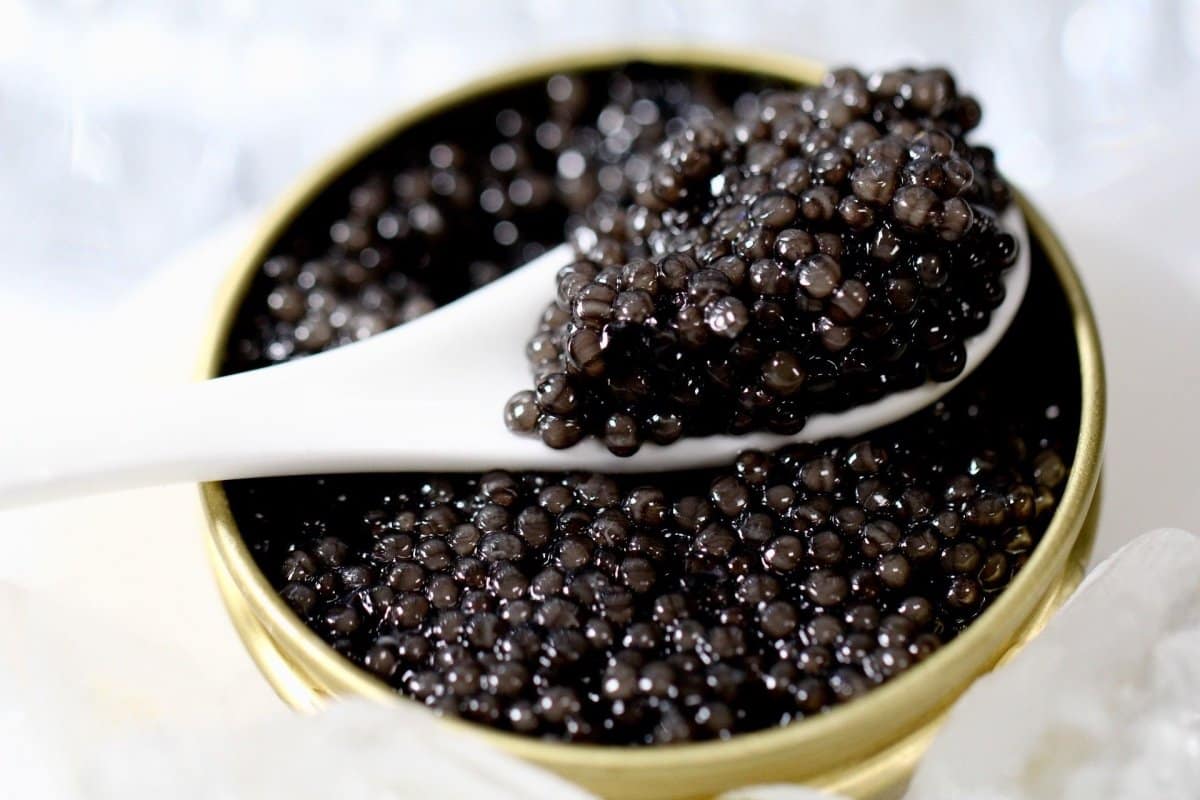 Eating caviar