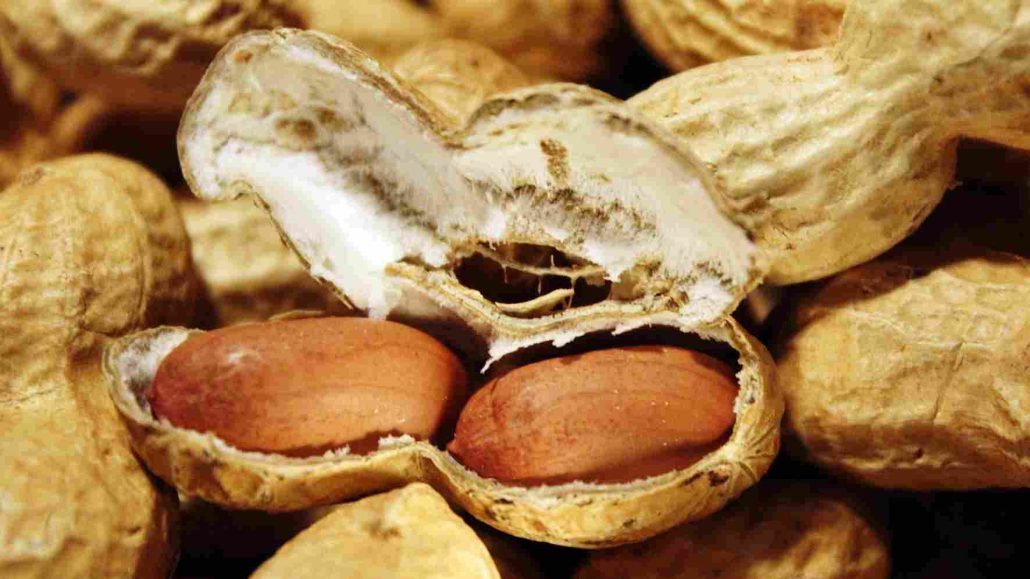 is groundnut good for ulcer patient