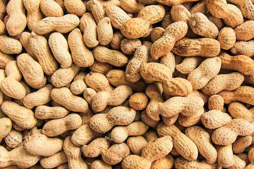 does groundnut cause pimples