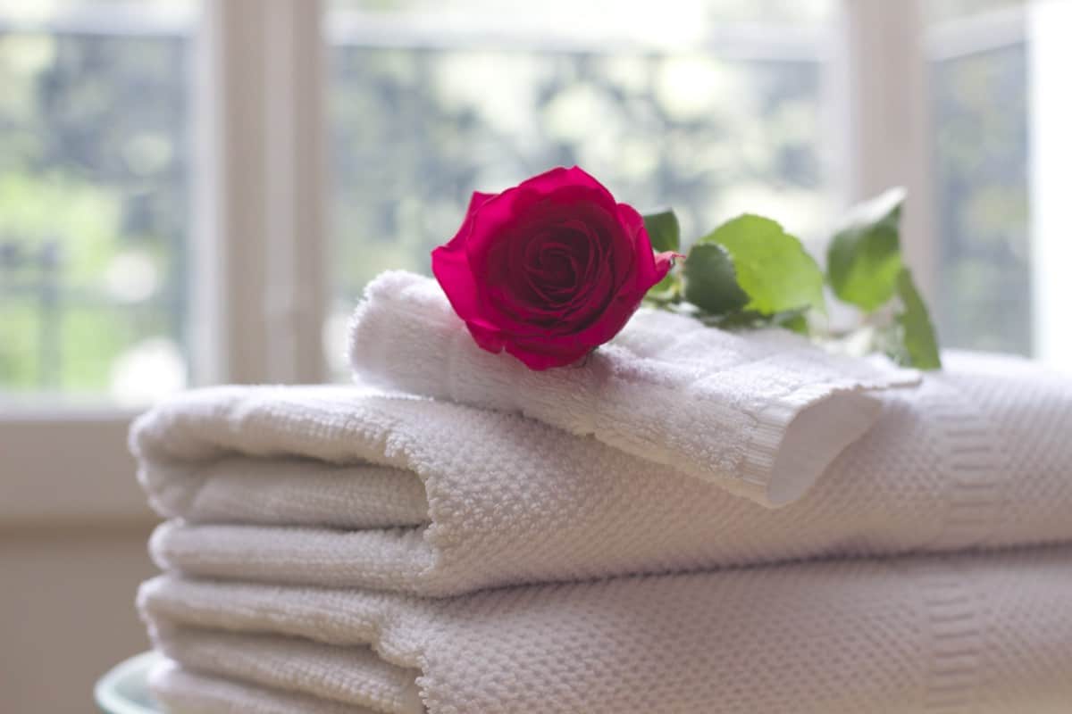 Buy Hand Towels Online In Different Designs And Colors