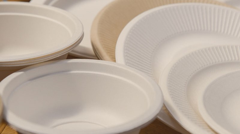 Disposable tableware wholesale