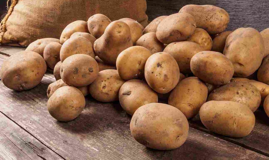 potato nutrition facts 100g