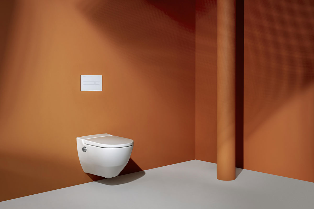 wall hung toilet and frame