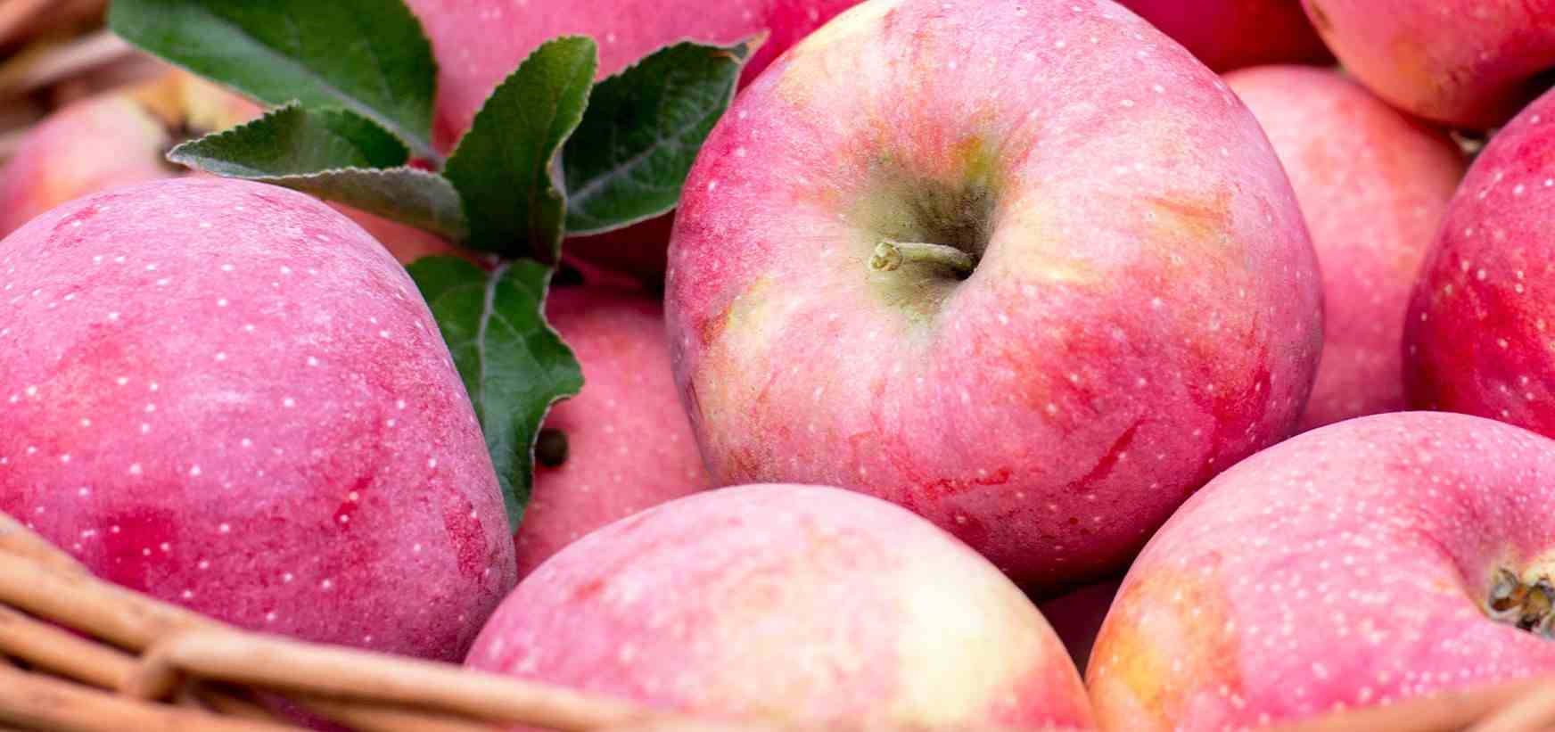 Pink lady apple calories