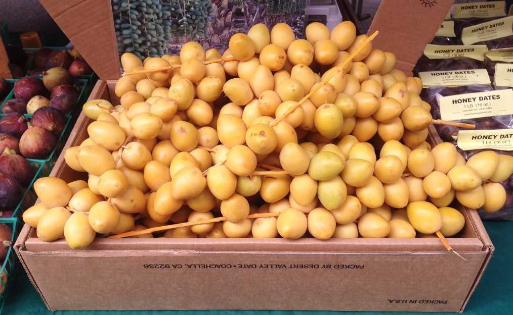 yellow barhi dates