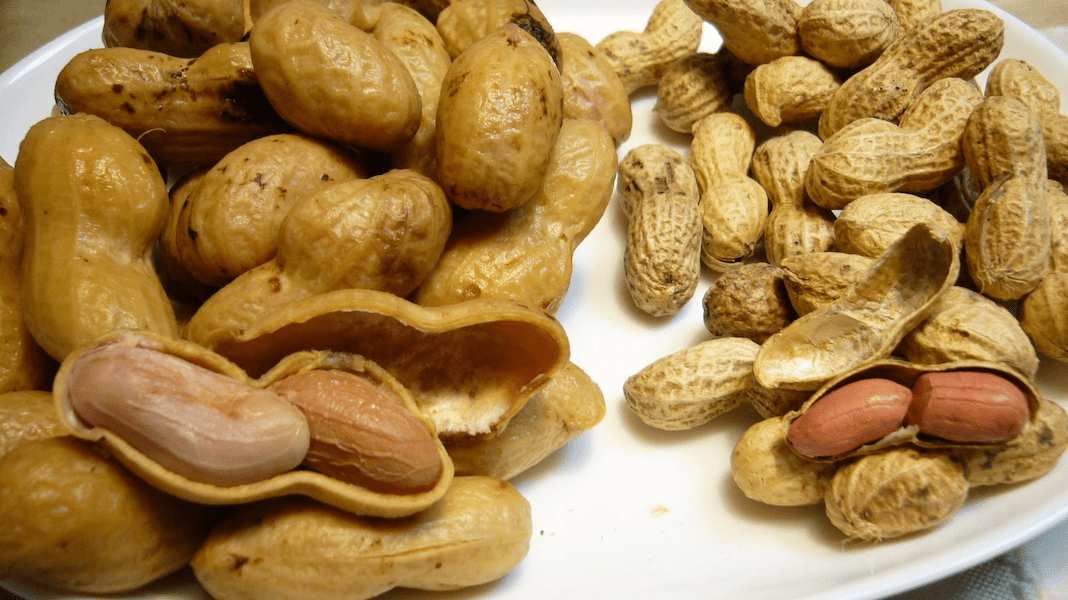 groundnut oil vs peanut oil