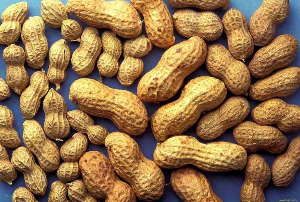 Shelled Peanuts for humans