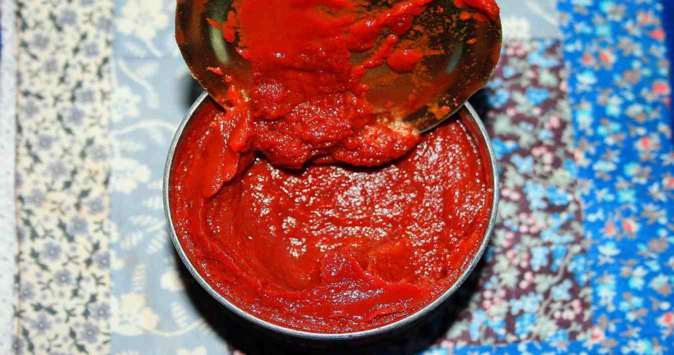 Which tomatoes create the greatest tomato paste?