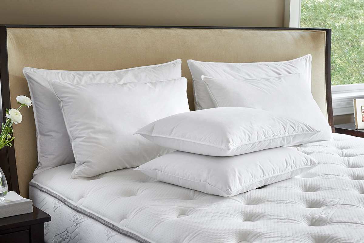 Bulk Hotel Pillows