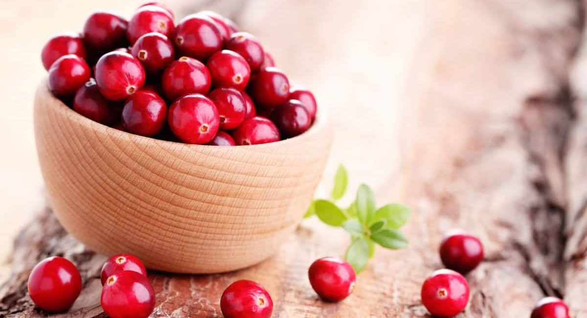 Cranberry Fruit Concentrate How to Take