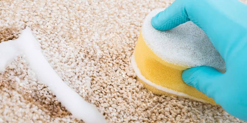 best carpet cleaning solution consumer reports