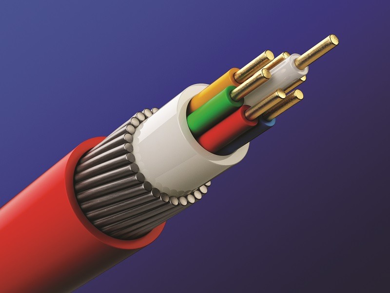 Annual review of wire and cable industry
