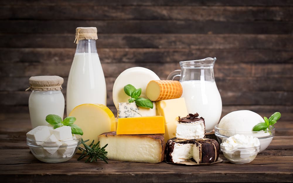 yeast and molds in dairy products
