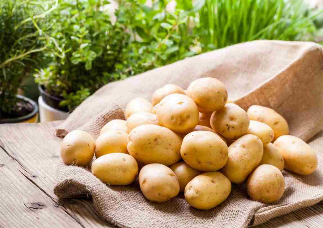 potato nutrition data