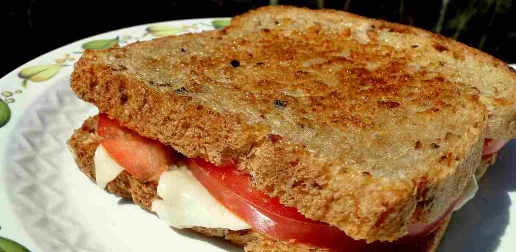 Tomato bread recipe
