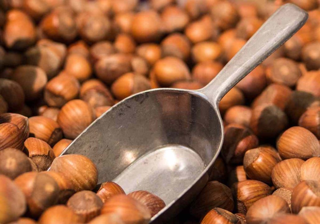 Hazelnut cultivation in Iran and its market