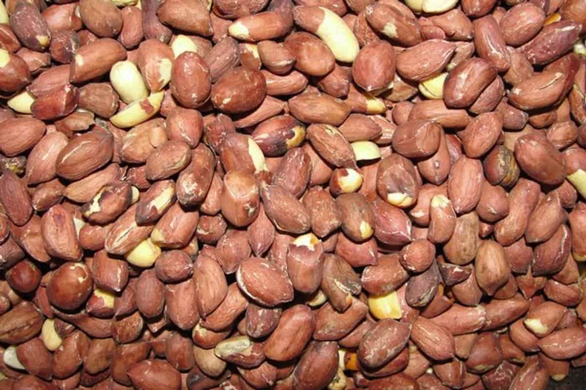 Soaked Groundnut Benefits