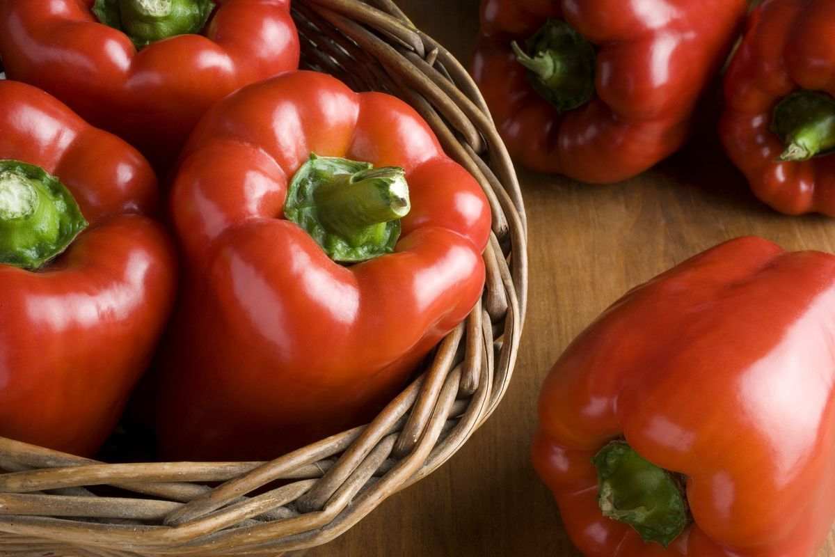large bell pepper calories
