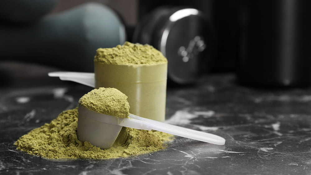 whey protein or creatine for beginners
