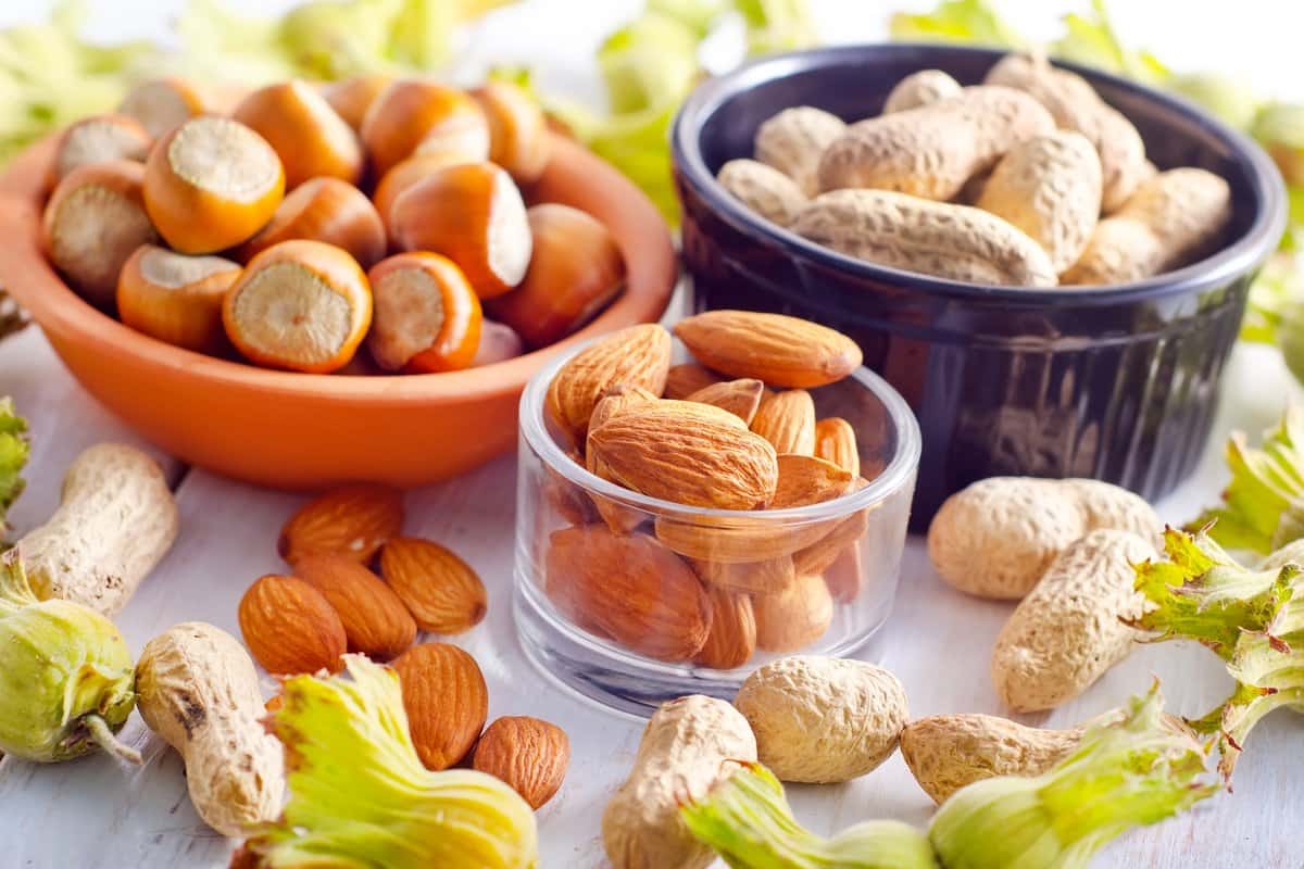 hazelnut vs almond benefits