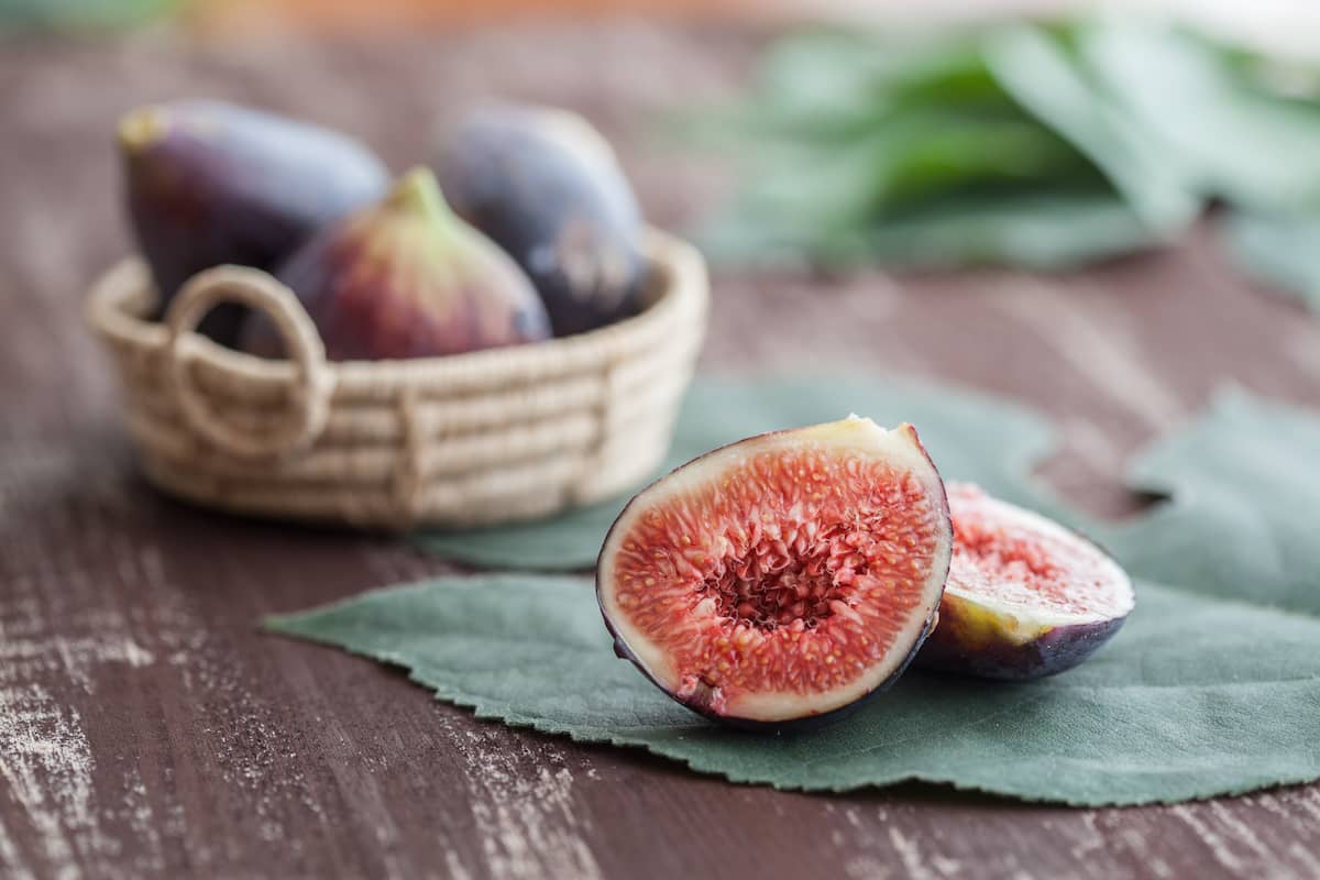 Figs and dates of origin