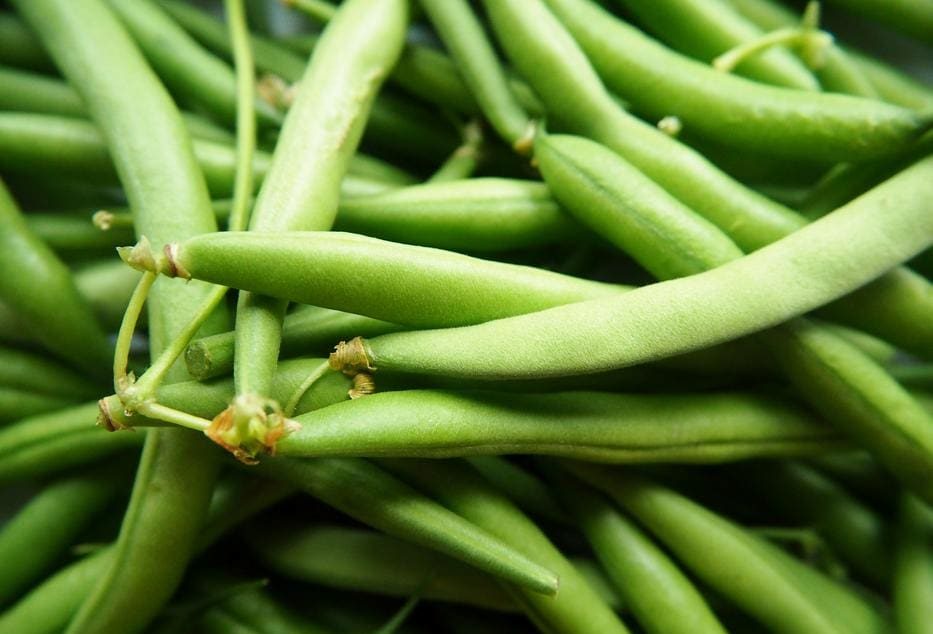 what are chinese green beans
