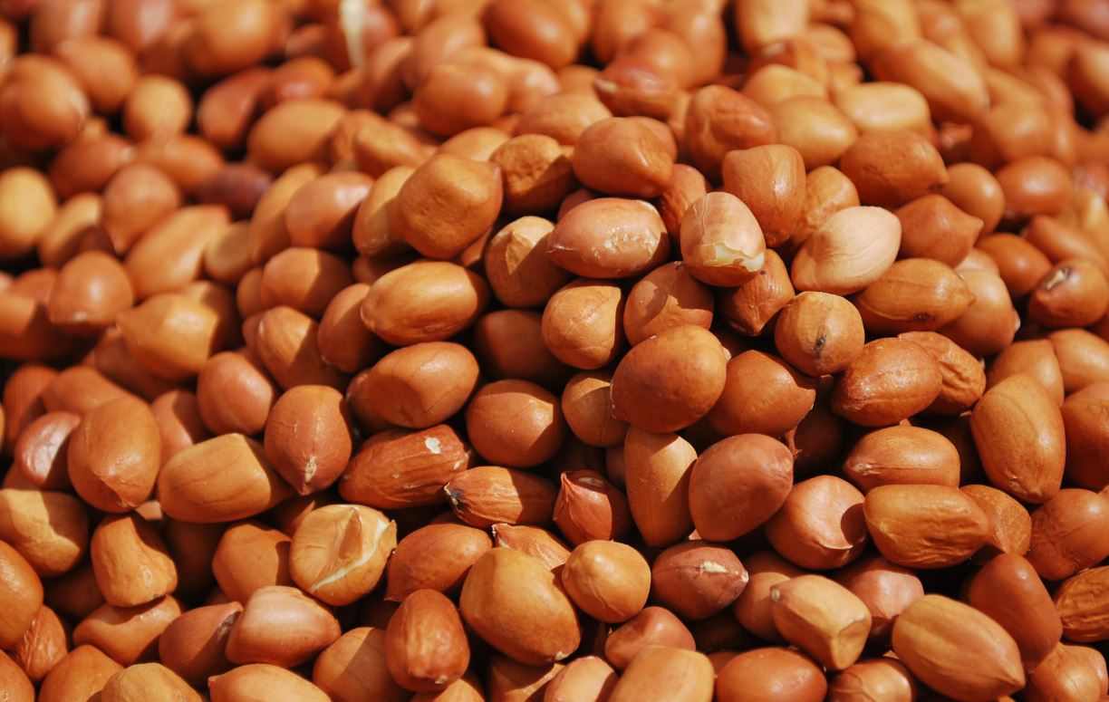 uses of groundnut in Nigeria