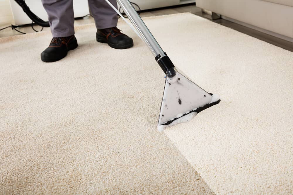 carpet cleaner solution home depot