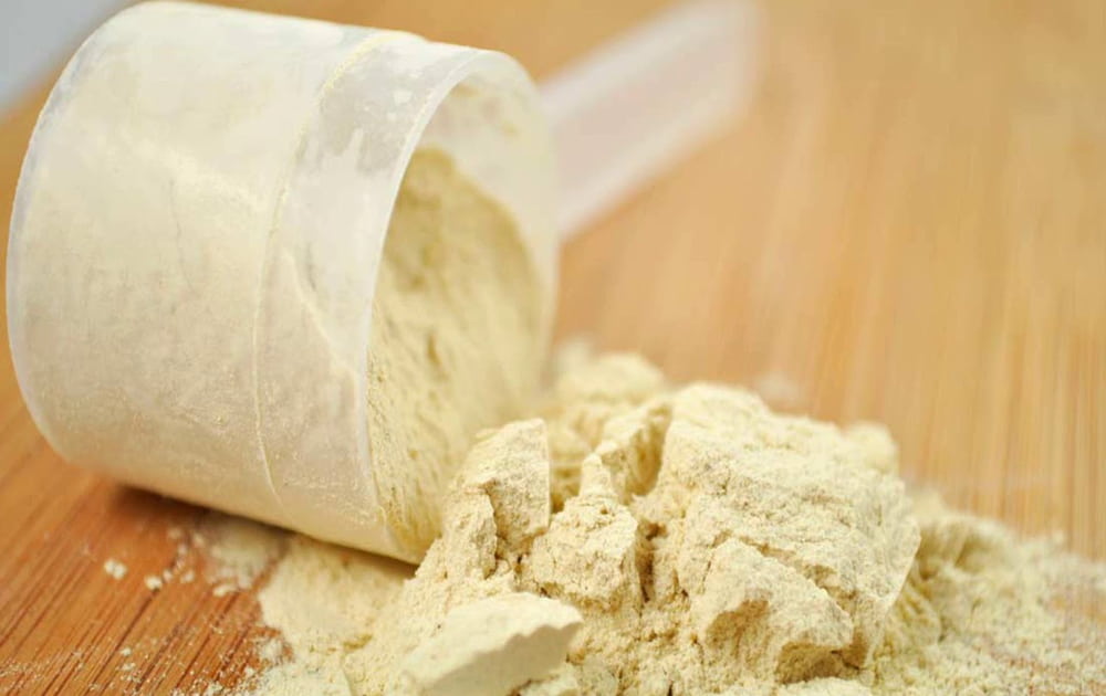 whey powder uses in food
