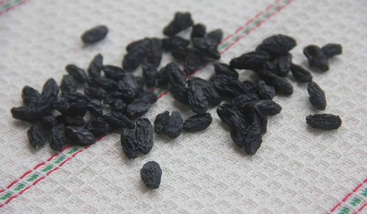 15 black raisins calories