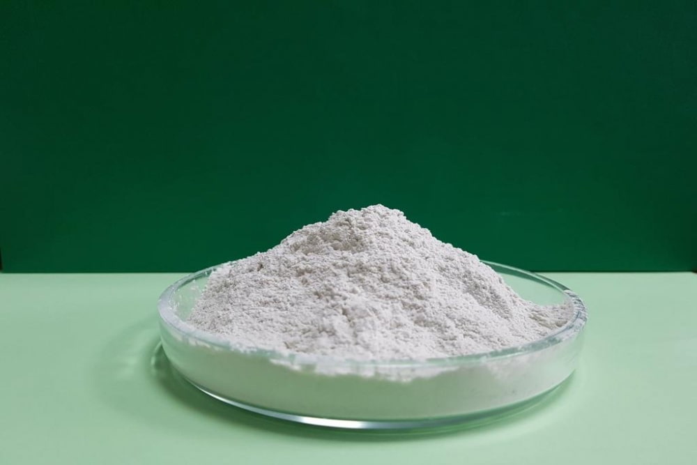 Talc Powder vs Tricalcium Phosphate