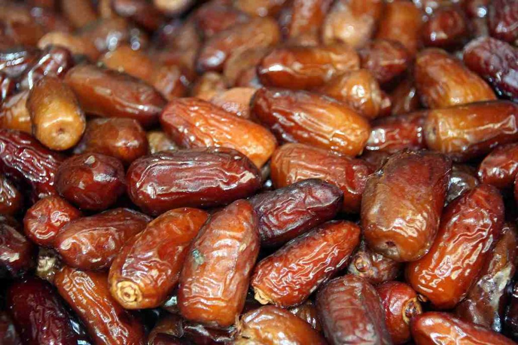 Date palm medicinal uses
