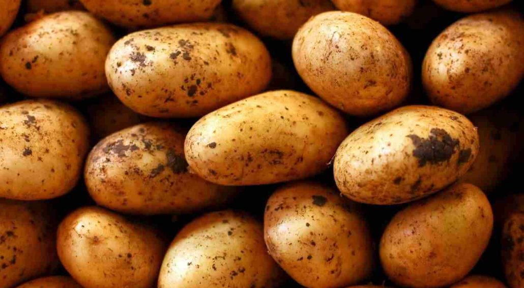 1 potato nutrition