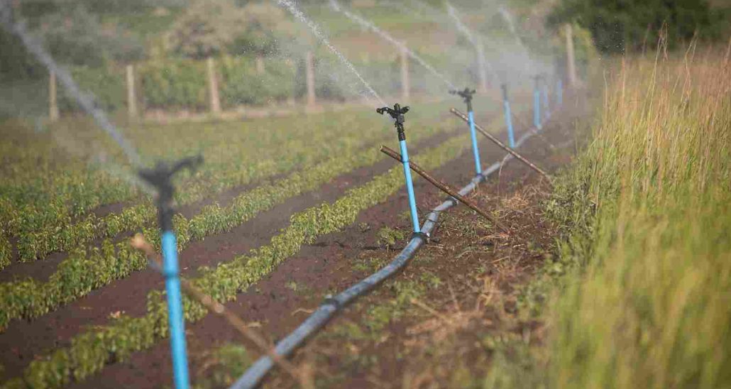 diesel irrigation pump Johannesburg