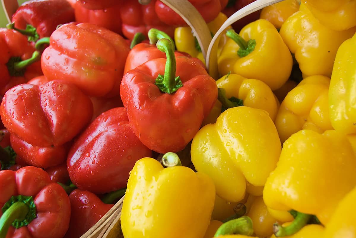 2 oz bell pepper nutrition