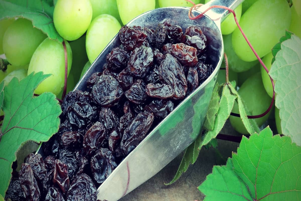 Does black raisins have iron?