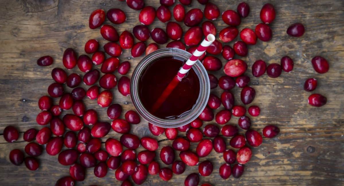 Cranberry Fruit Concentrate Side Effects