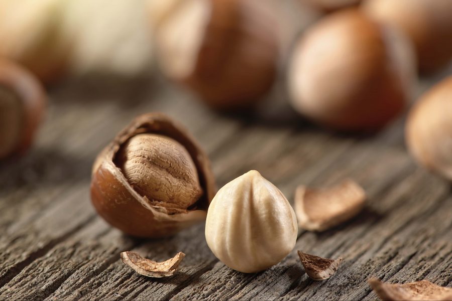 Improving social and labor conditions in the hazelnuts supply chain