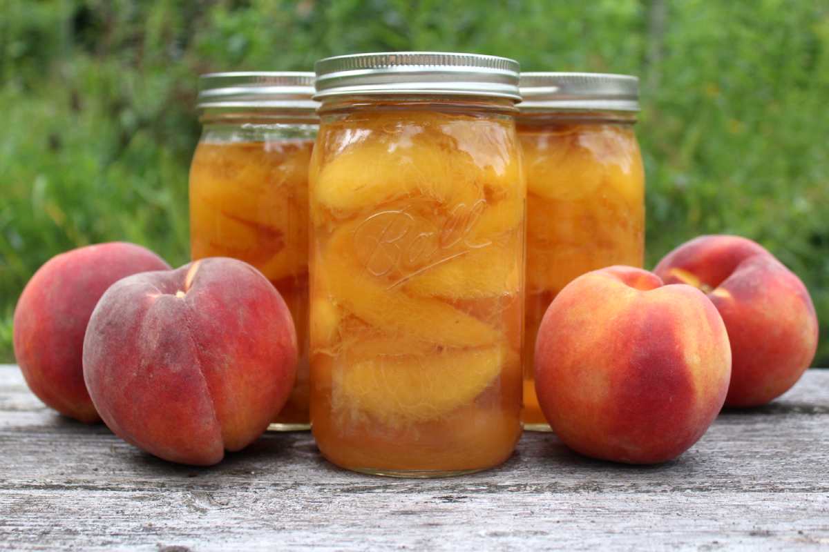 canned peaches calories