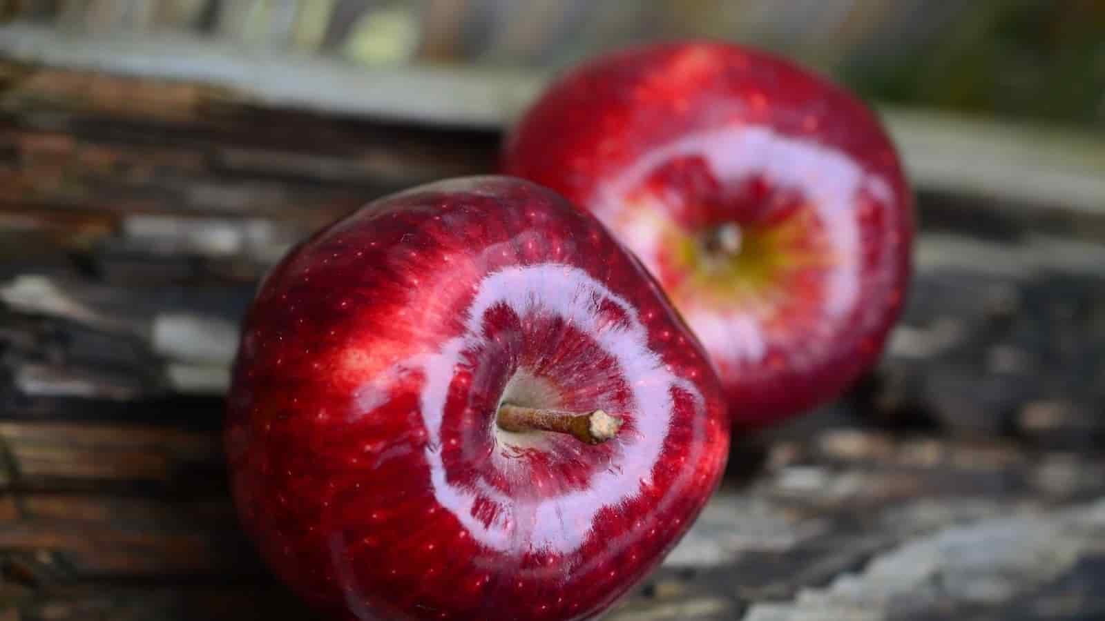 Red delicious apple trees for sale near me