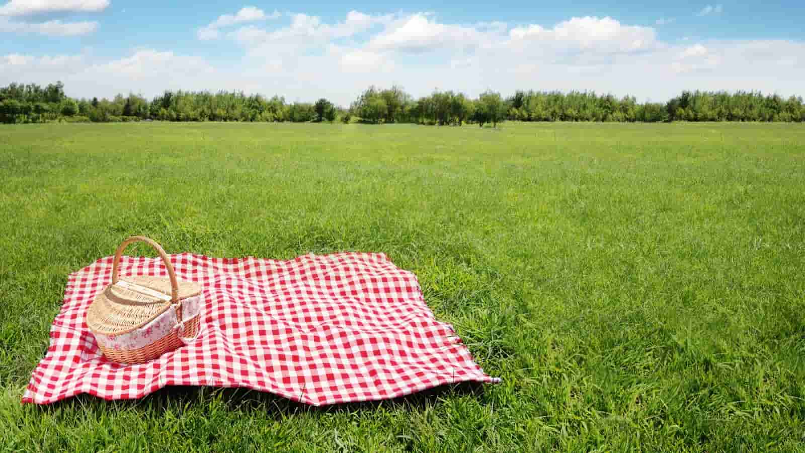 John lewis picnic blanket